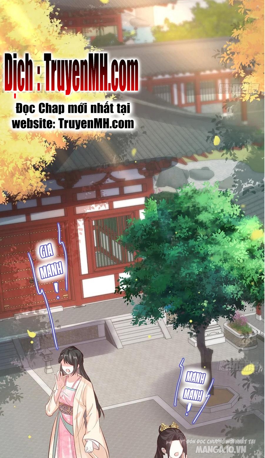 Kiều Mỵ Phu Lang, Tại Tuyến Lục Trà Chapter 65 - Trang 2