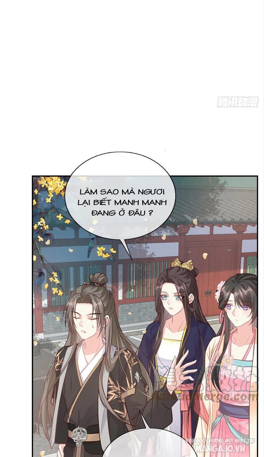 Kiều Mỵ Phu Lang, Tại Tuyến Lục Trà Chapter 65 - Trang 2