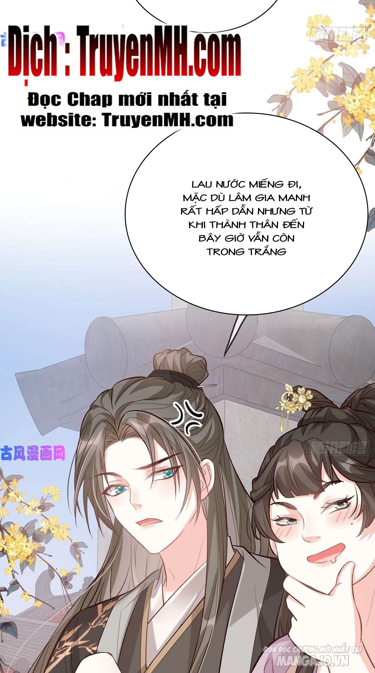 Kiều Mỵ Phu Lang, Tại Tuyến Lục Trà Chapter 62 - Trang 2