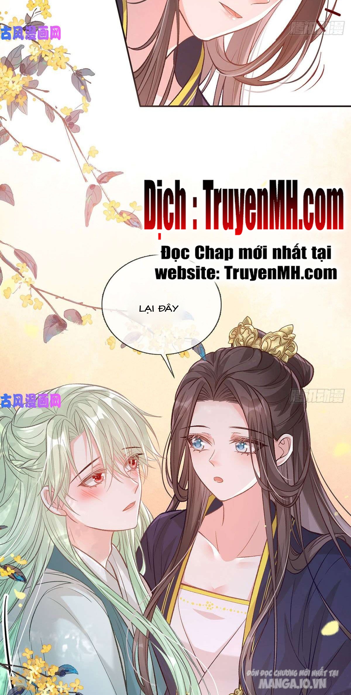 Kiều Mỵ Phu Lang, Tại Tuyến Lục Trà Chapter 60 - Trang 2