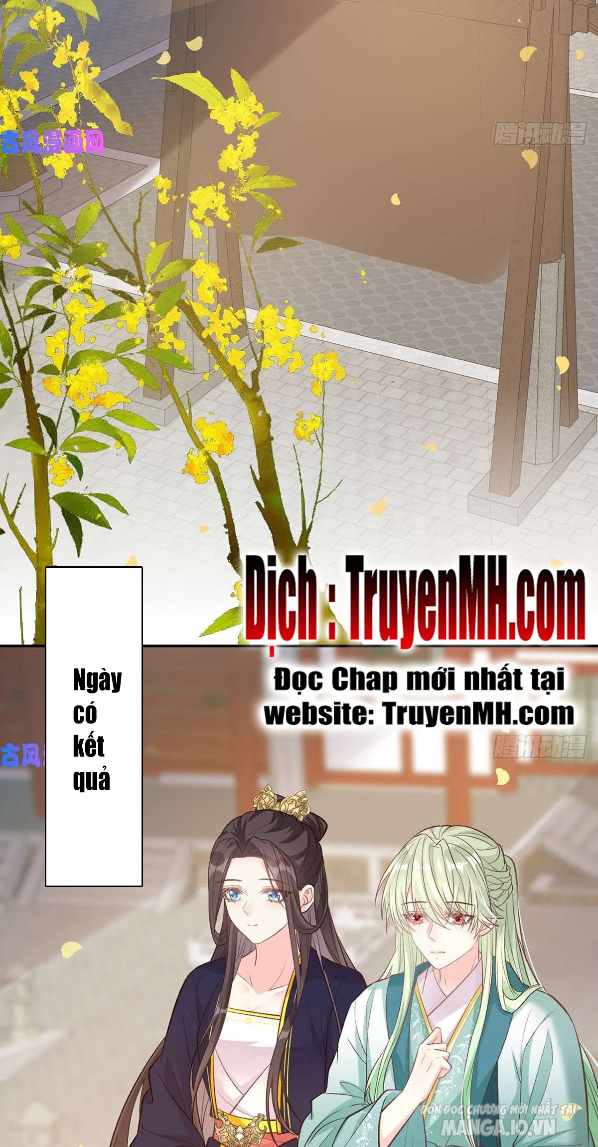 Kiều Mỵ Phu Lang, Tại Tuyến Lục Trà Chapter 60 - Trang 2