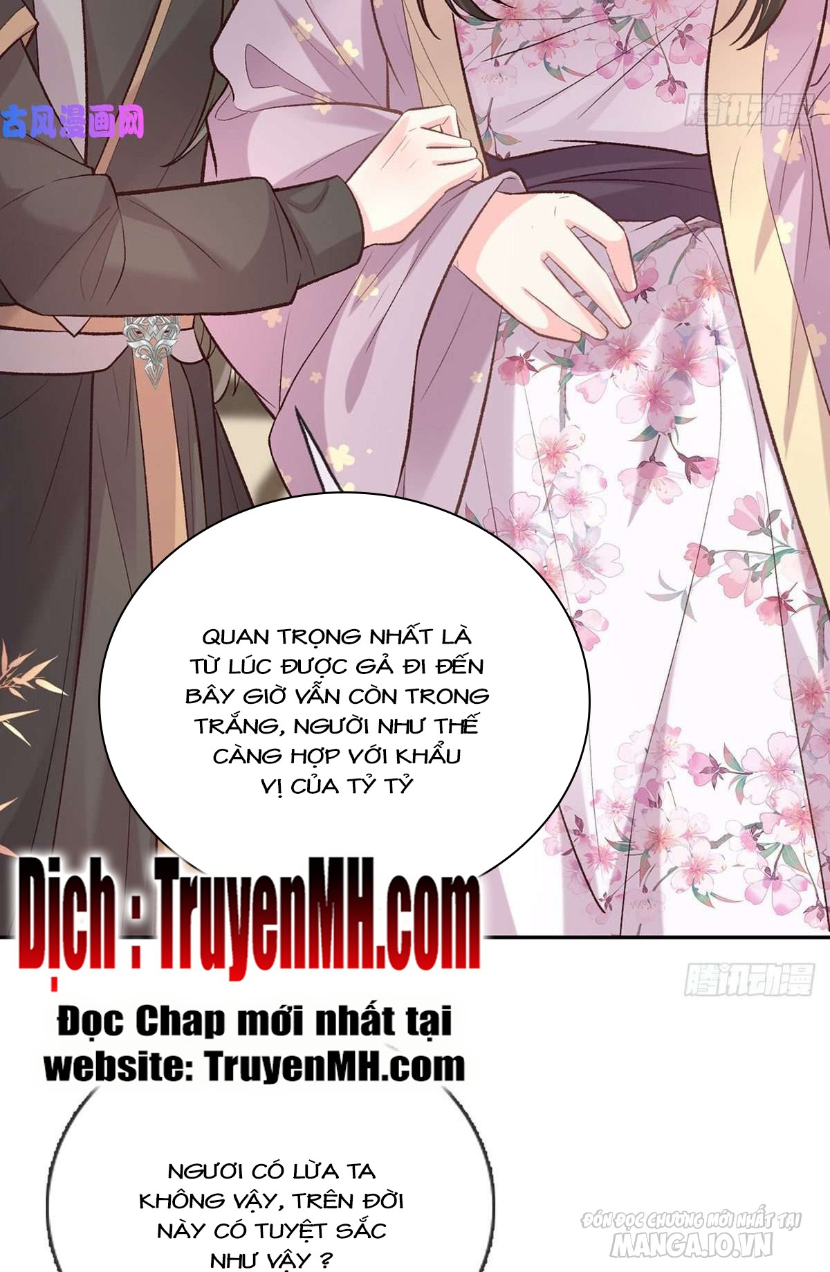 Kiều Mỵ Phu Lang, Tại Tuyến Lục Trà Chapter 59 - Trang 2