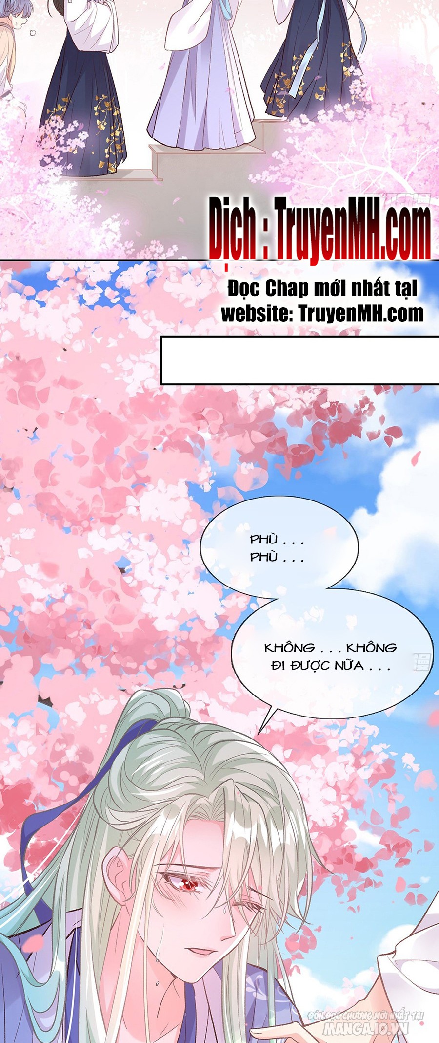 Kiều Mỵ Phu Lang, Tại Tuyến Lục Trà Chapter 47 - Trang 2