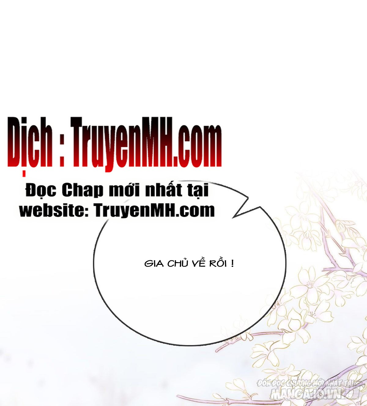 Kiều Mỵ Phu Lang, Tại Tuyến Lục Trà Chapter 8 - Trang 2