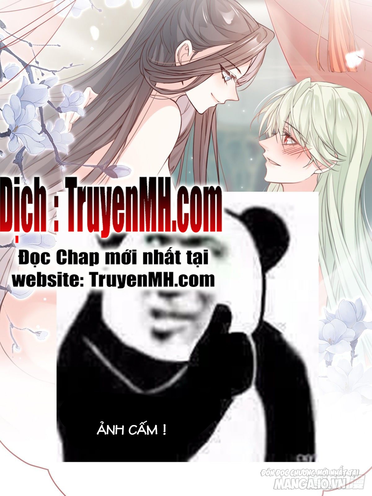 Kiều Mỵ Phu Lang, Tại Tuyến Lục Trà Chapter 1 - Trang 2