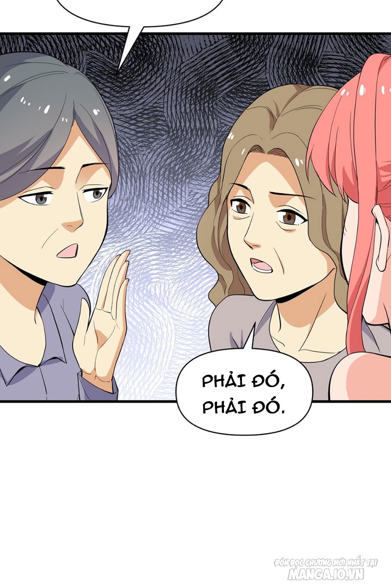 Ta Gặp Linh Khí Khôi Phục Giả Chapter 5 - Trang 2