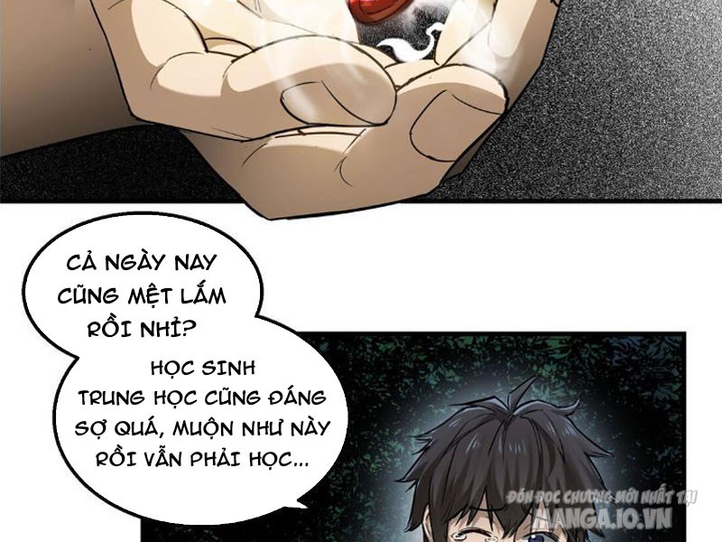 Ngô Mệnh Phụng Thiên Chapter 3 - Trang 2