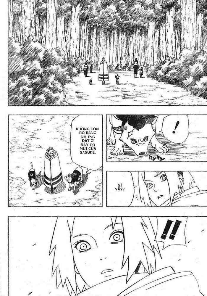 Naruto Chapter 355 - Trang 2