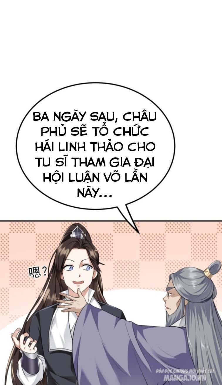 Thiên Đạo Nguyền Rủa Ư? Ta Nghịch Thiên!! Chapter 15 - Trang 2