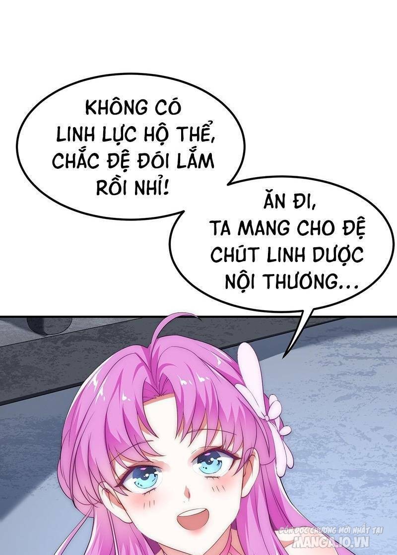 Thiên Đạo Nguyền Rủa Ư? Ta Nghịch Thiên!! Chapter 4 - Trang 2