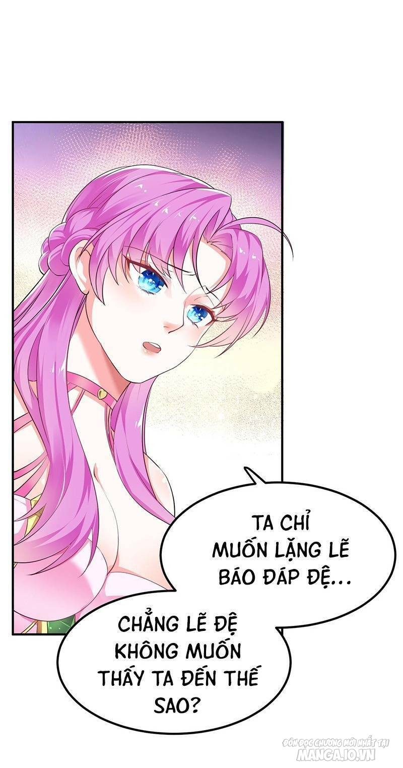 Thiên Đạo Nguyền Rủa Ư? Ta Nghịch Thiên!! Chapter 4 - Trang 2