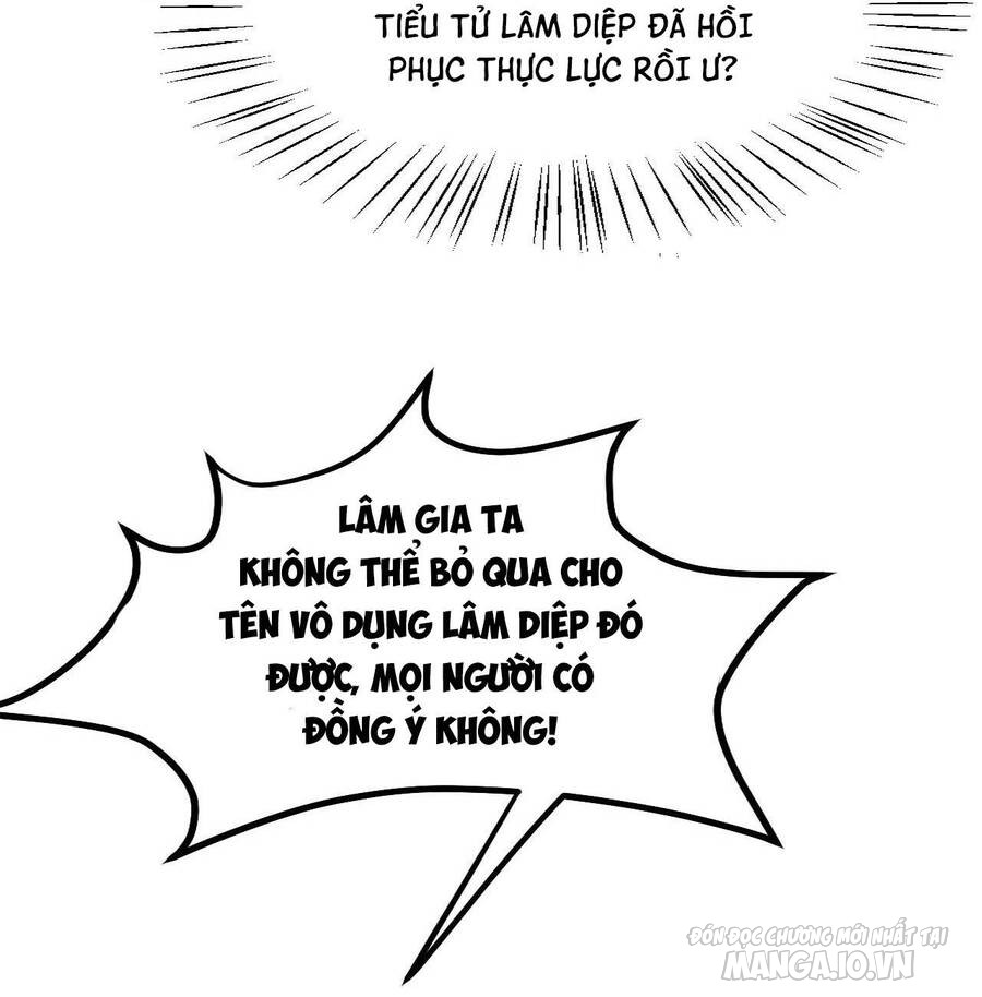 Thiên Đạo Nguyền Rủa Ư? Ta Nghịch Thiên!! Chapter 3 - Trang 2