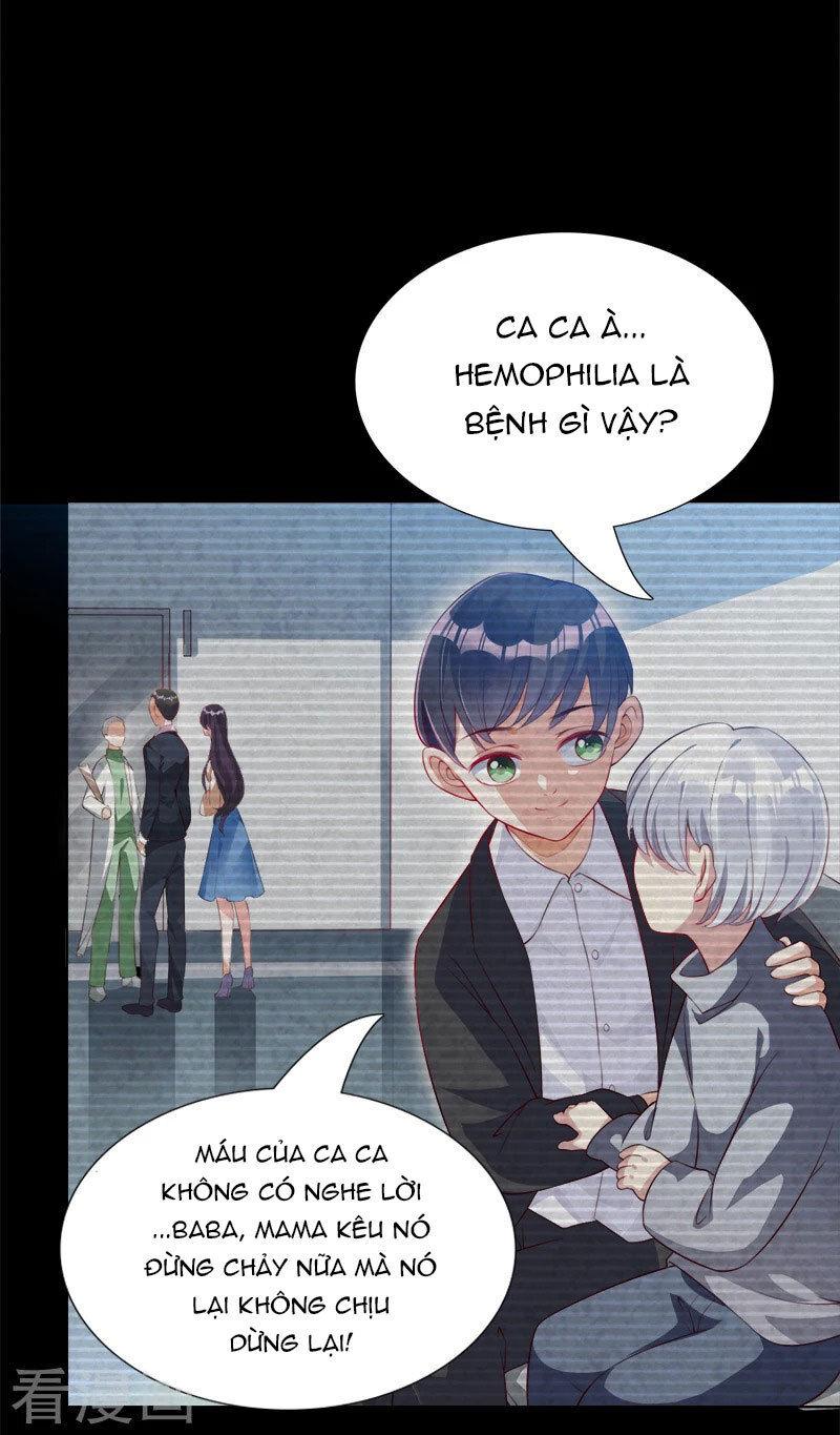 Lãnh Hôn Cuồng Ái Chapter 42 - Trang 2