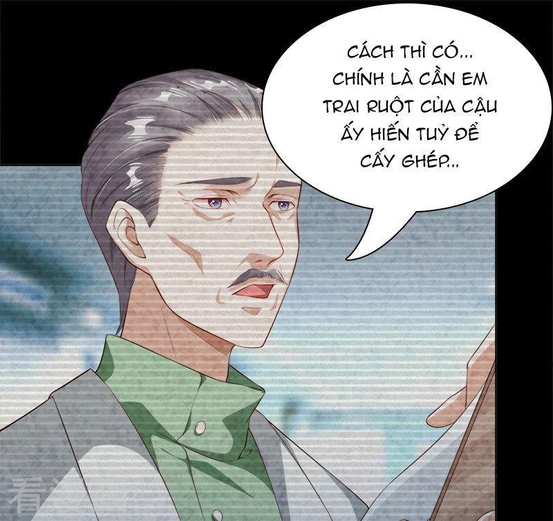 Lãnh Hôn Cuồng Ái Chapter 42 - Trang 2