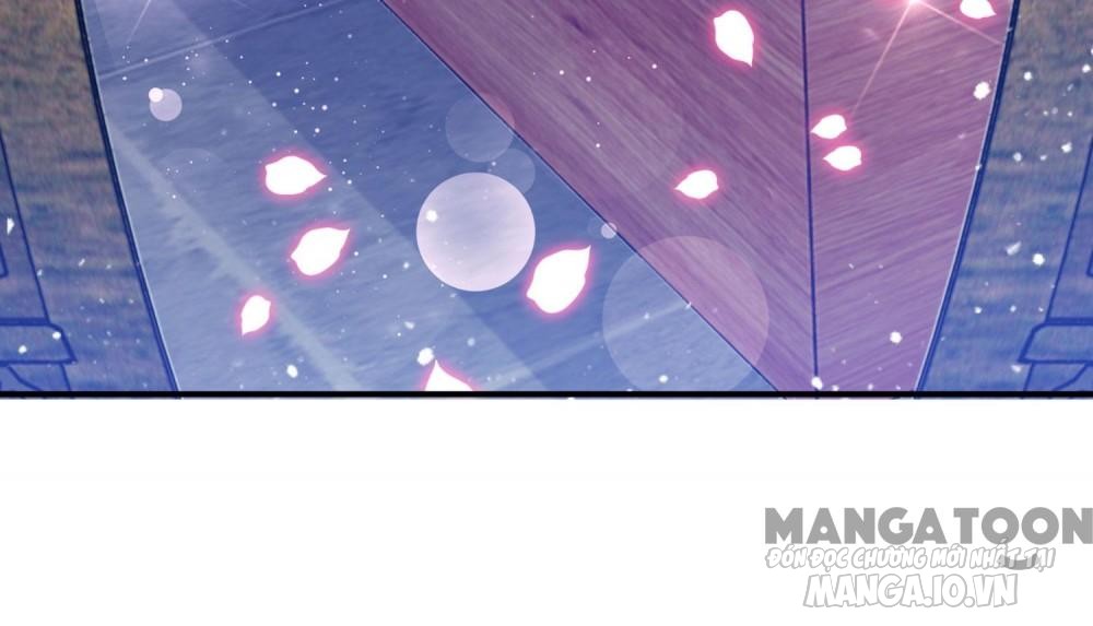 Cực Phẩm Bại Gia Tử Chapter 187 - Trang 2