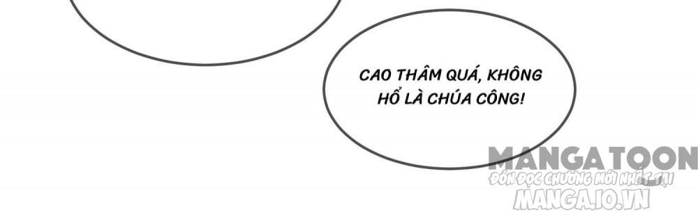 Cực Phẩm Bại Gia Tử Chapter 187 - Trang 2