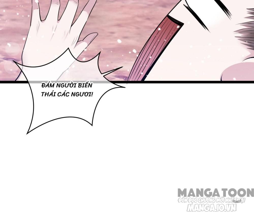 Cực Phẩm Bại Gia Tử Chapter 185 - Trang 2
