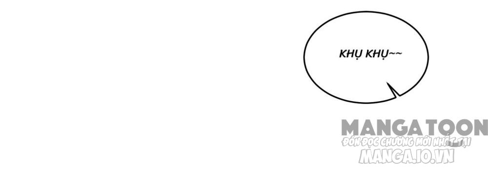 Cực Phẩm Bại Gia Tử Chapter 185 - Trang 2