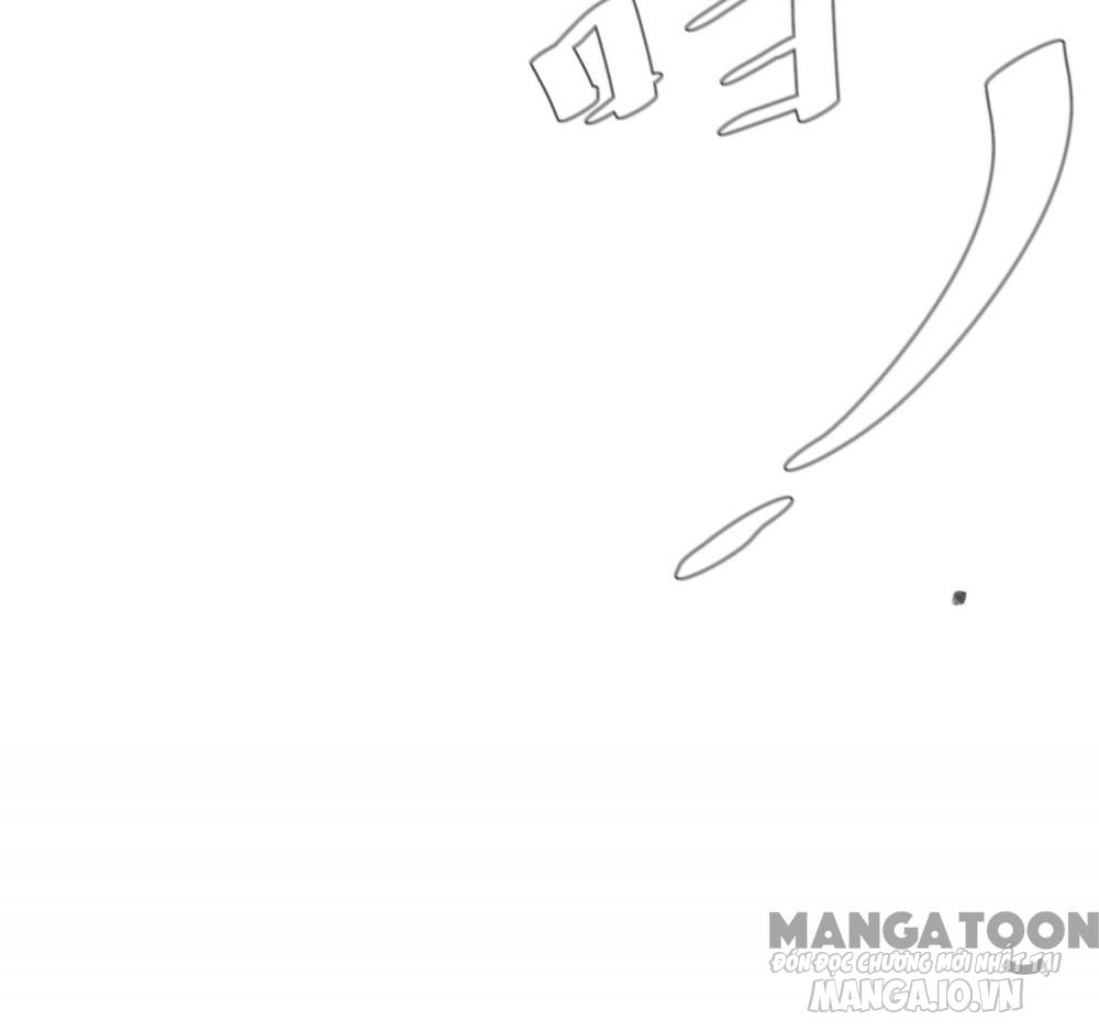 Cực Phẩm Bại Gia Tử Chapter 183 - Trang 2
