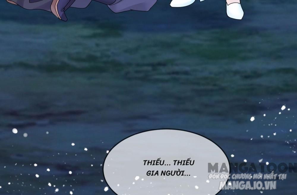 Cực Phẩm Bại Gia Tử Chapter 178 - Trang 2
