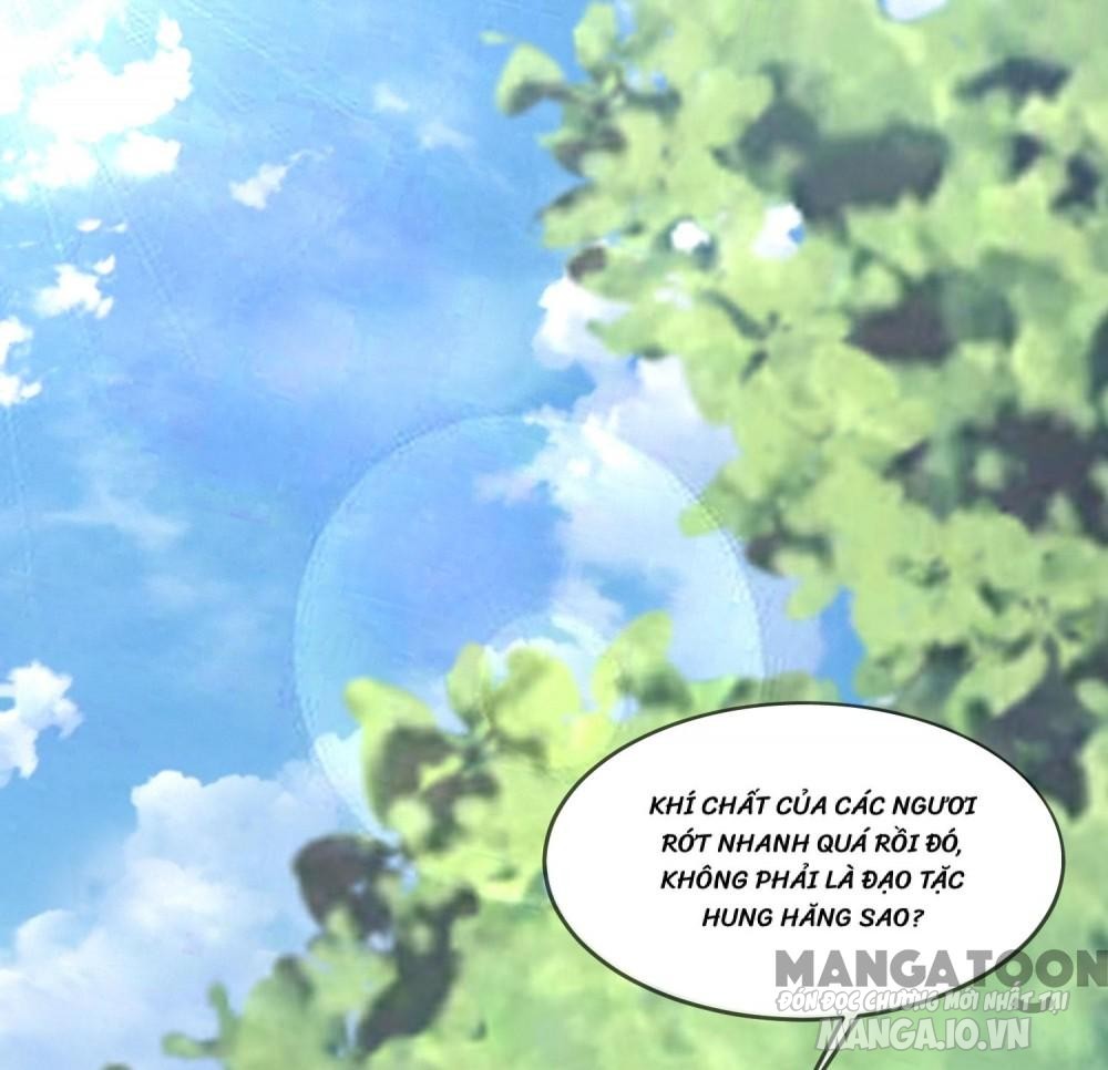 Cực Phẩm Bại Gia Tử Chapter 176 - Trang 2