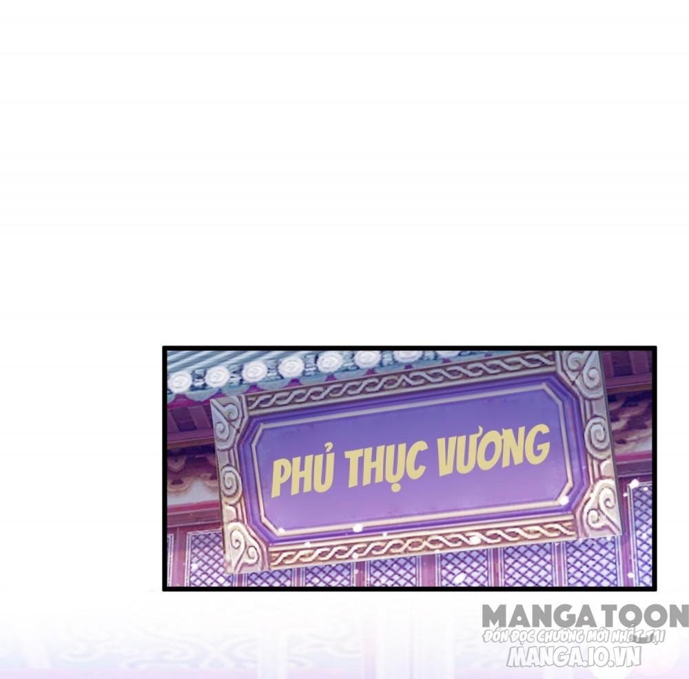 Cực Phẩm Bại Gia Tử Chapter 169 - Trang 2