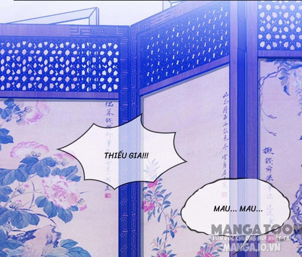 Cực Phẩm Bại Gia Tử Chapter 157 - Trang 2