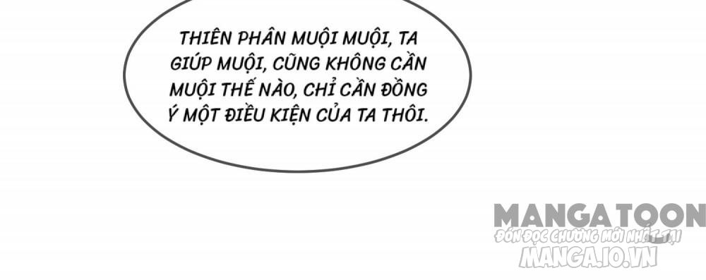 Cực Phẩm Bại Gia Tử Chapter 142 - Trang 2
