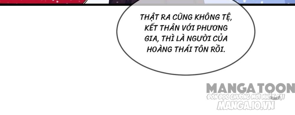 Cực Phẩm Bại Gia Tử Chapter 81 - Trang 2