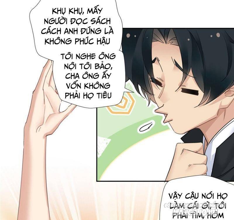 Hỗn Loạn Nhất Lịch Sử Chapter 37 - Trang 2