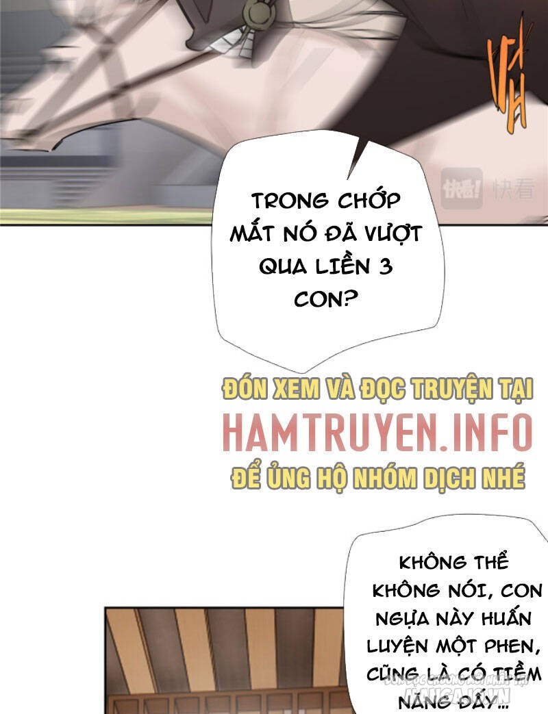 Hỗn Loạn Nhất Lịch Sử Chapter 13 - Trang 2