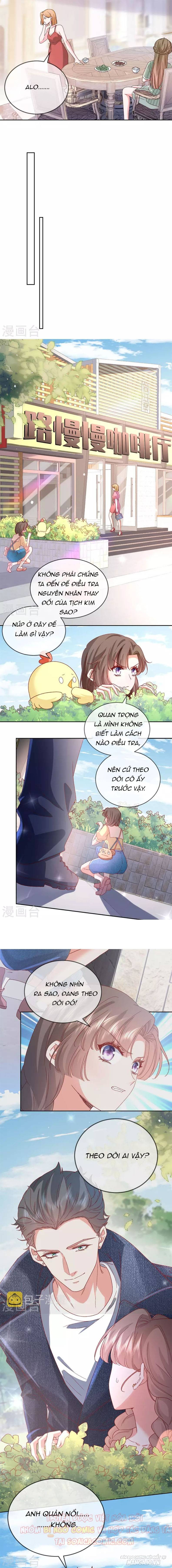 Bạch Tự Tiểu Thư Chapter 22 - Trang 2