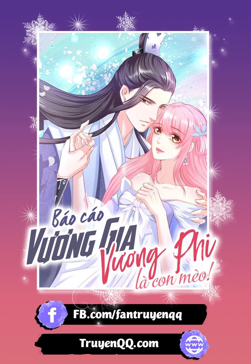 Báo Cáo Vương Gia, Vương Phi Là Một Con Mèo Chapter 6 - Trang 2