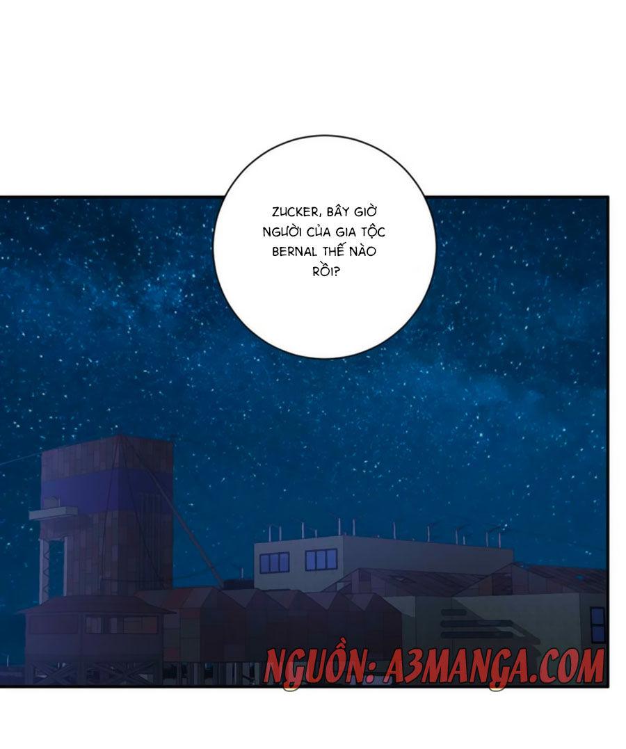 Người Yêu Khát Máu Của Tôi Chapter 74 - Trang 2