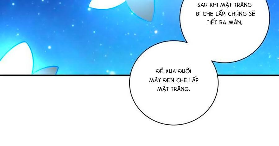 Người Yêu Khát Máu Của Tôi Chapter 66 - Trang 2