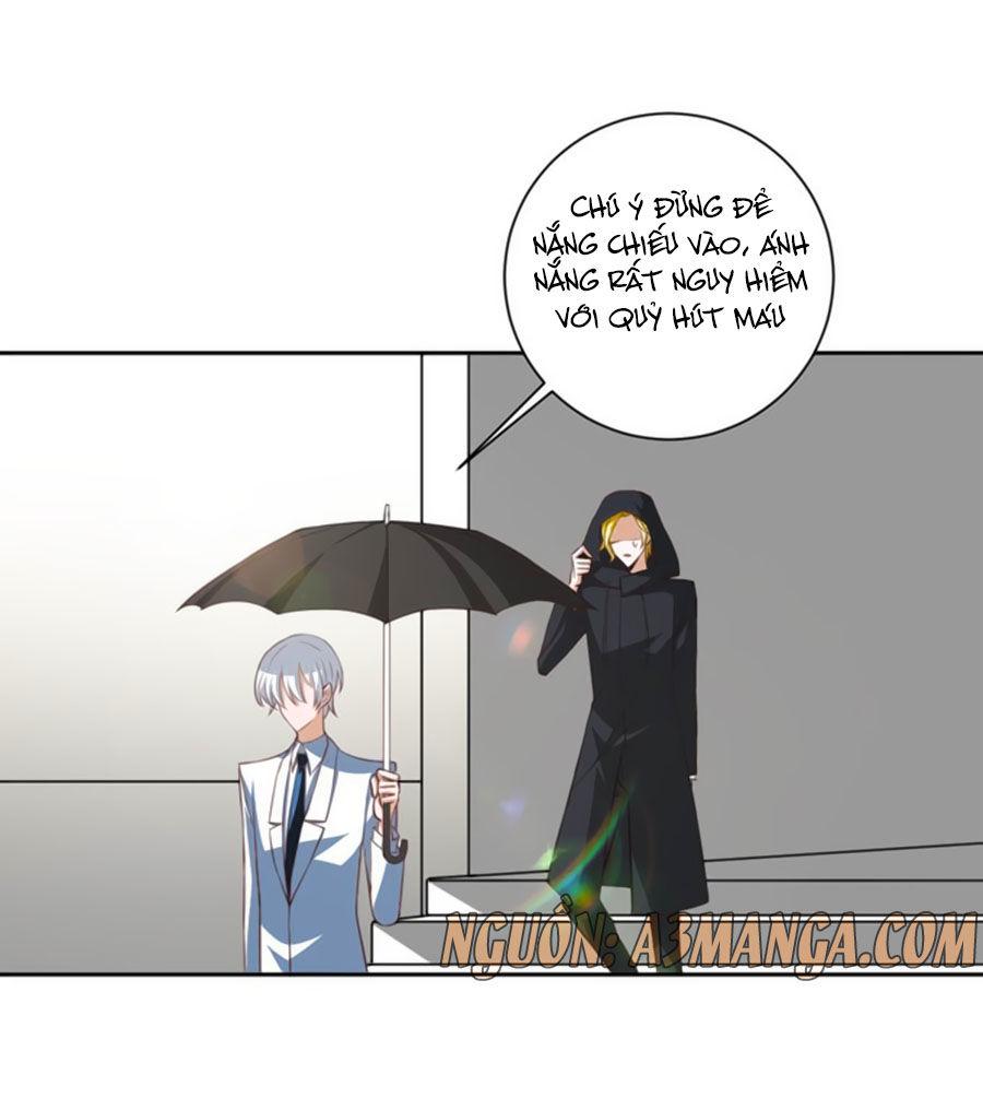 Người Yêu Khát Máu Của Tôi Chapter 40 - Trang 2