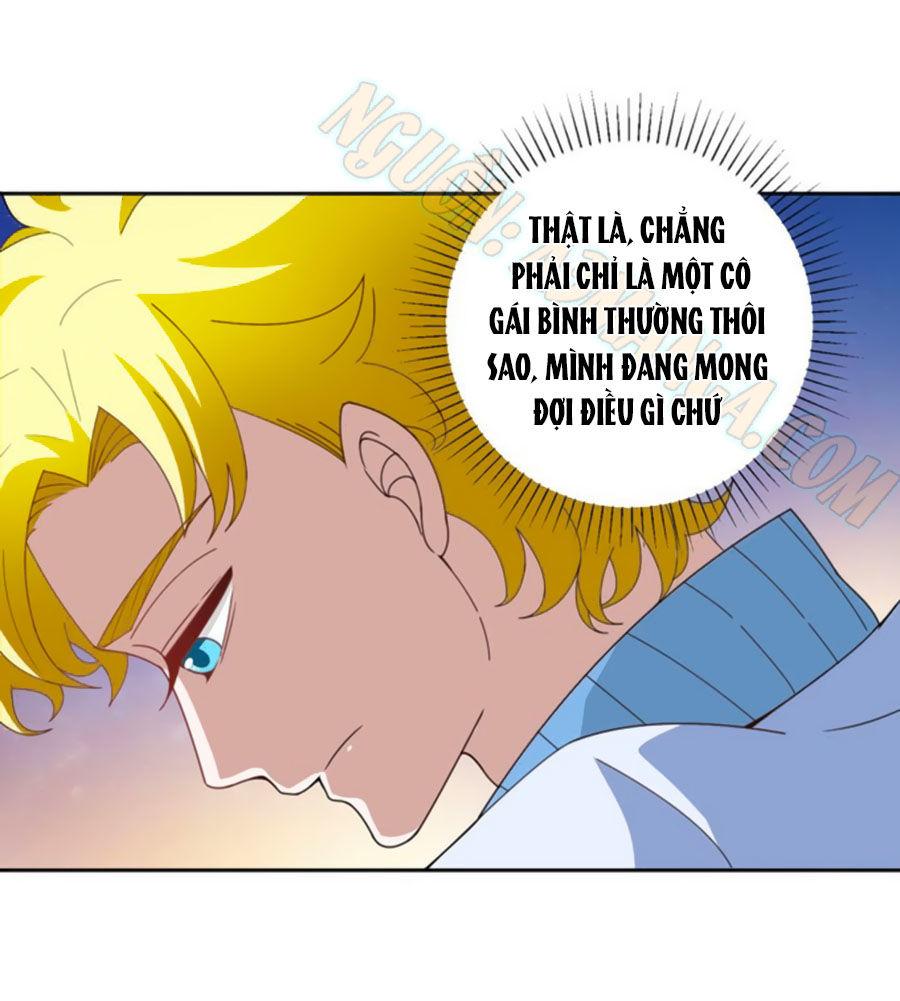 Người Yêu Khát Máu Của Tôi Chapter 19 - Trang 2