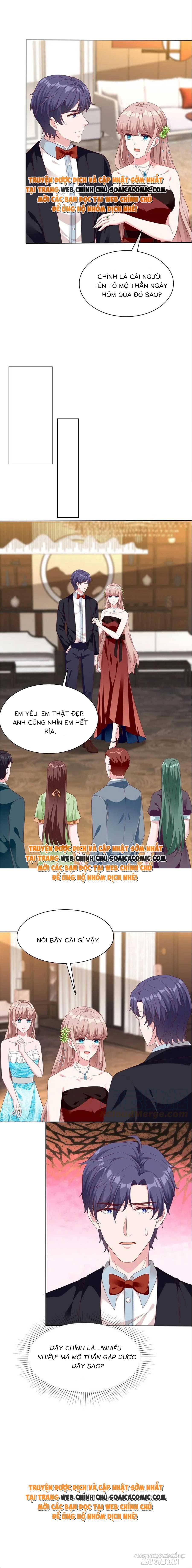 Boss Mặt Lạnh Yêu Vợ Đến Điên Cuồng Chapter 248 - Trang 2