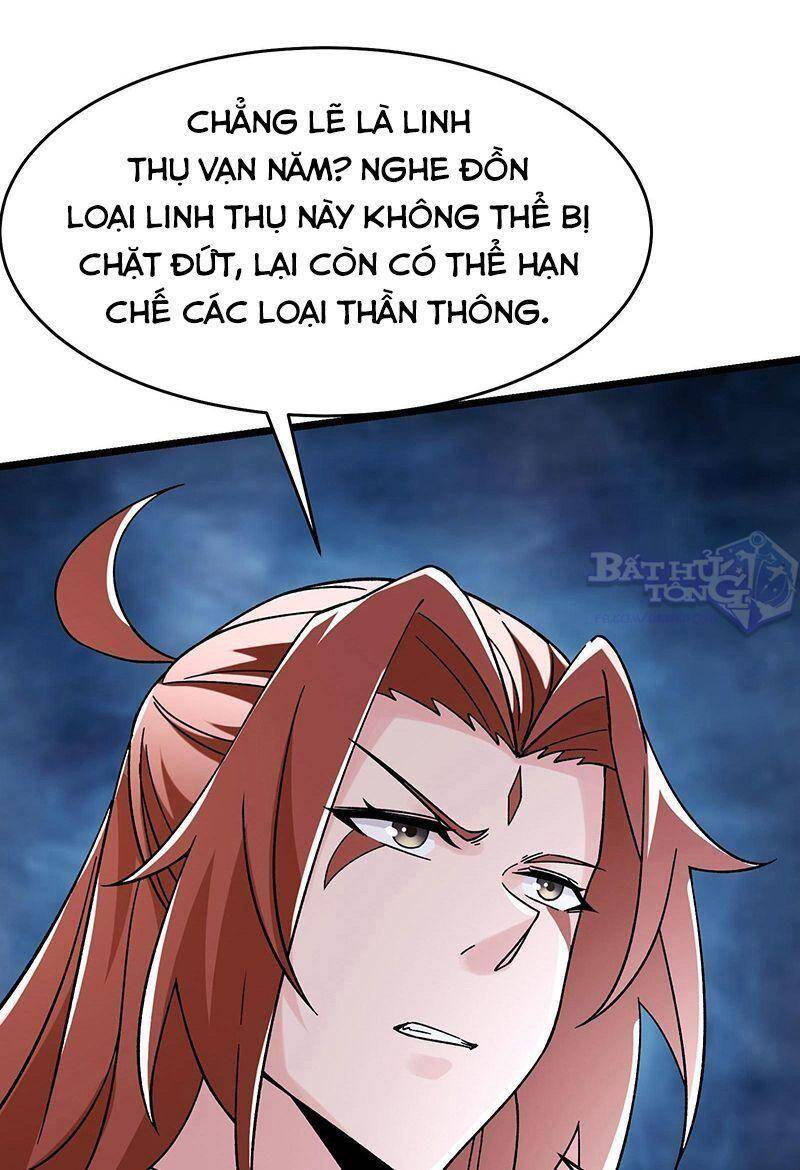 Đồ Đệ Của Ta Đều Là Nữ Ma Đầu Chapter 81 - Trang 2