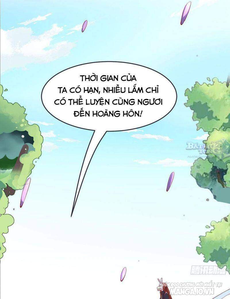 Đồ Đệ Của Ta Đều Là Nữ Ma Đầu Chapter 14.2 - Trang 2