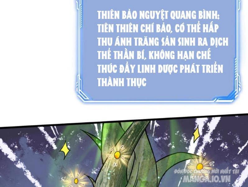 Phản Diện Này Có Chút Lương Tâm, Nhưng Không Nhiều! Chapter 225 - Trang 2