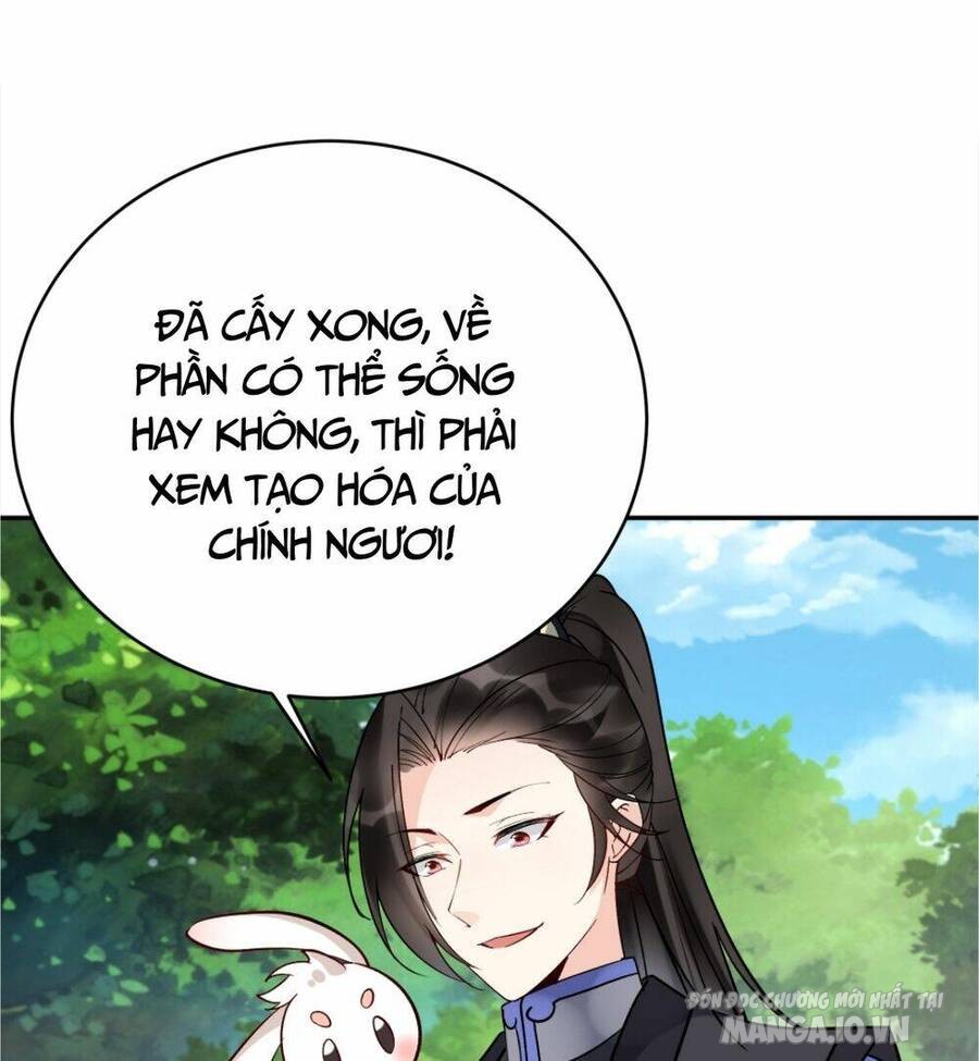 Phản Diện Này Có Chút Lương Tâm, Nhưng Không Nhiều! Chapter 166 - Trang 2