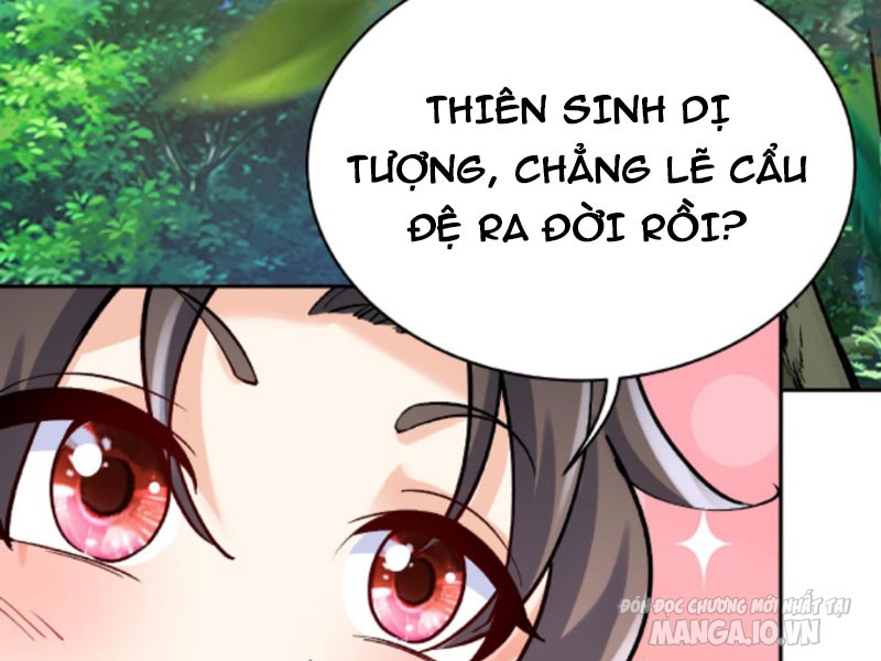 Phản Diện Này Có Chút Lương Tâm, Nhưng Không Nhiều! Chapter 4 - Trang 2