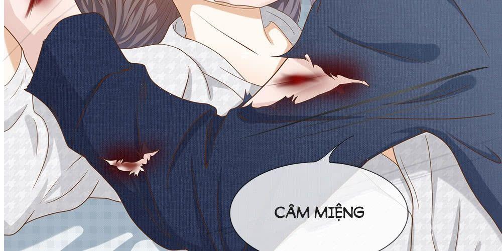 Tổng Tài Ma Cà Rồng Của Tôi Chapter 3 - Trang 2