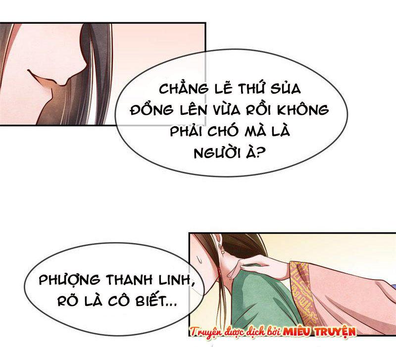 Hoàng Hậu Tại Thượng, Xin Nhận Một Lạy Của Vi Phu Chapter 5 - Trang 2