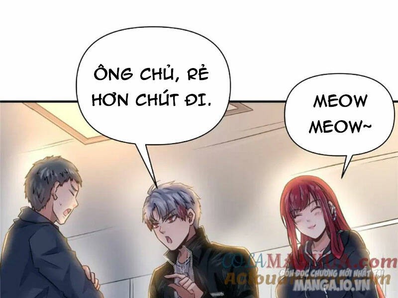 Ổn Định Đừng Gây Sóng Gió Chapter 88 - Trang 2