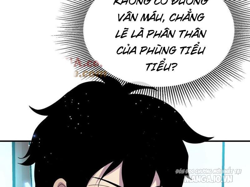 Nhìn Thấy Thanh Máu, Ta Có Thể Tử Hình Thần Minh Chapter 181 - Trang 2