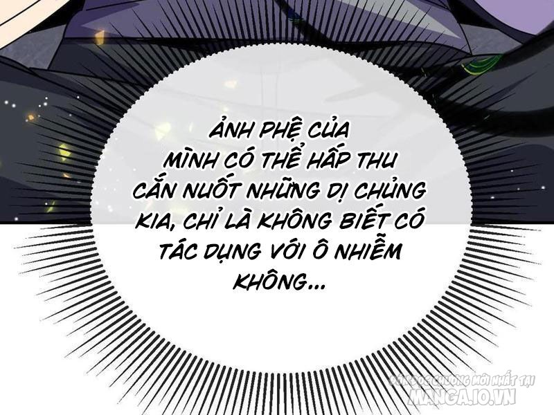 Nhìn Thấy Thanh Máu, Ta Có Thể Tử Hình Thần Minh Chapter 176 - Trang 2