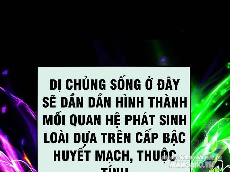 Nhìn Thấy Thanh Máu, Ta Có Thể Tử Hình Thần Minh Chapter 157 - Trang 2