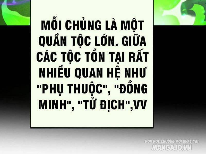 Nhìn Thấy Thanh Máu, Ta Có Thể Tử Hình Thần Minh Chapter 157 - Trang 2